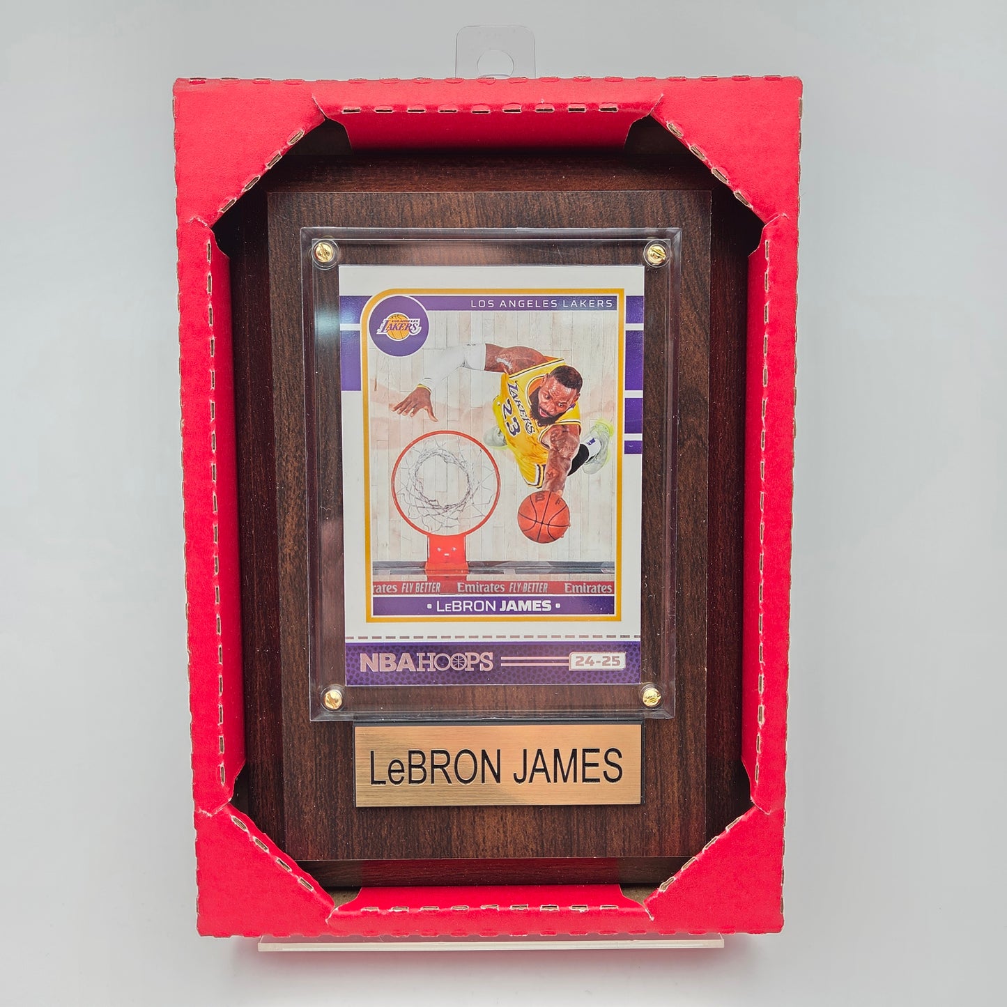 Cadre Panini Lebron James Los Angleles Lakers NBA Hoops