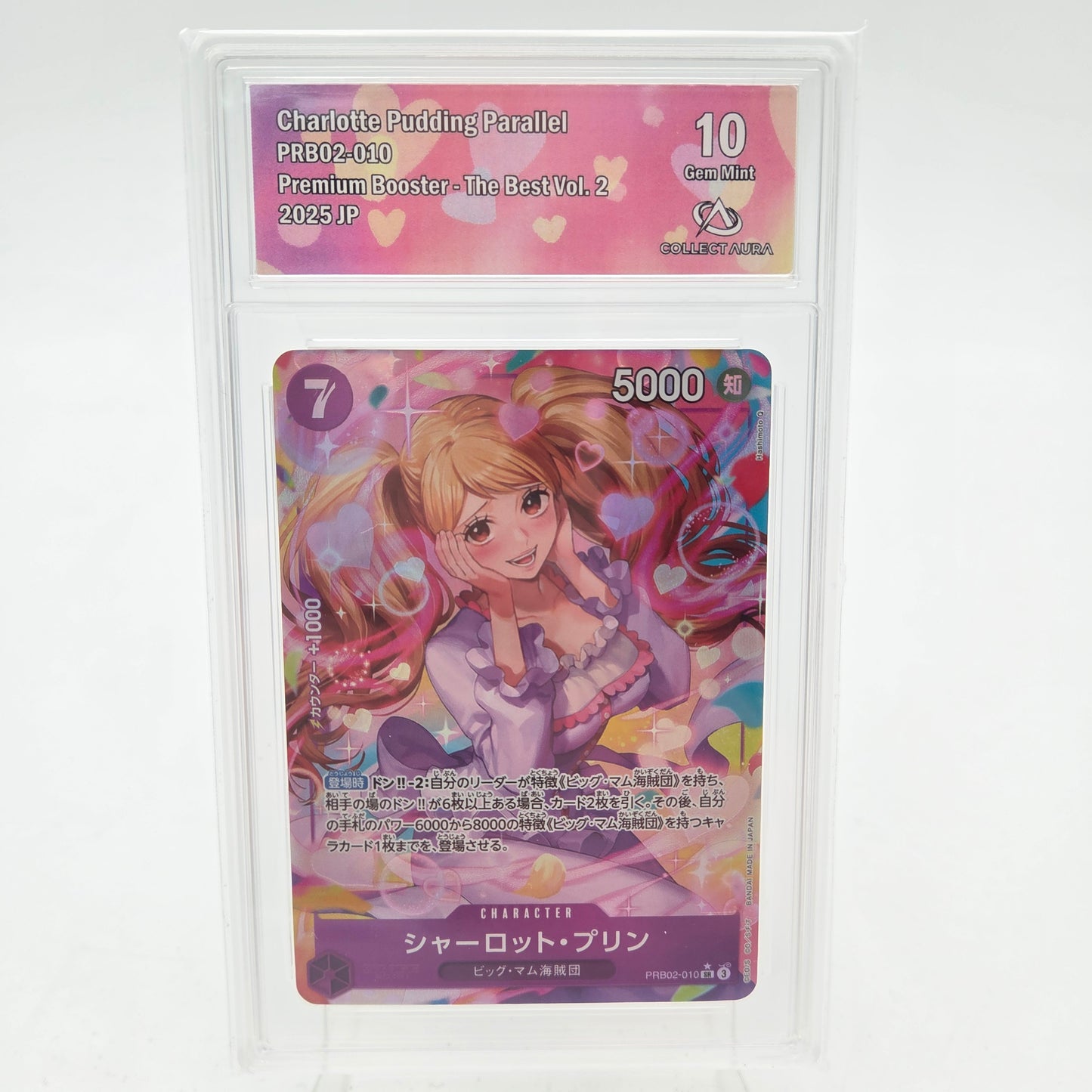 CHARLOTTE PUDDING (PRB02-010) - CollectAura 10