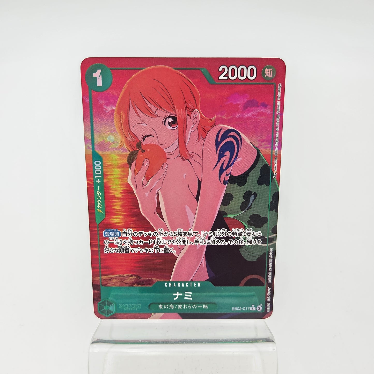 NAMI (EB02-017)