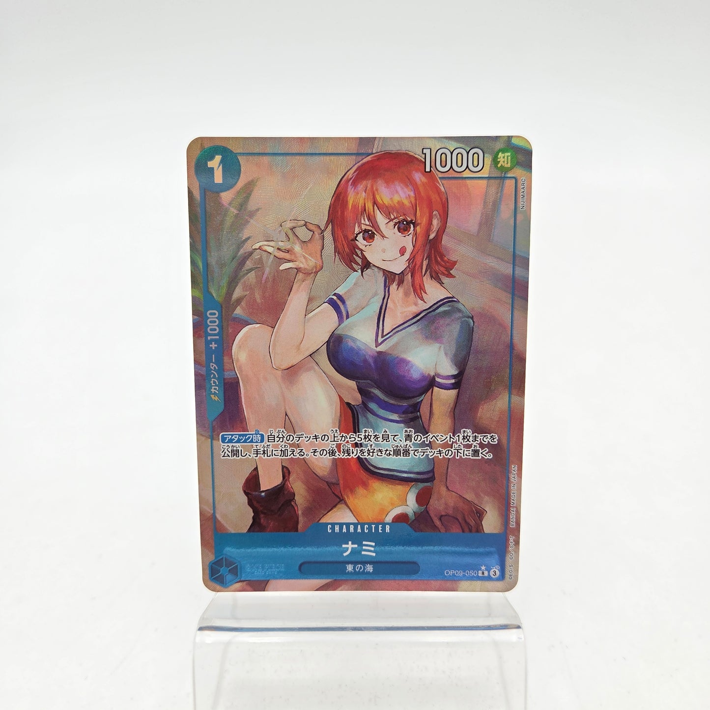 NAMI (OP09-050)