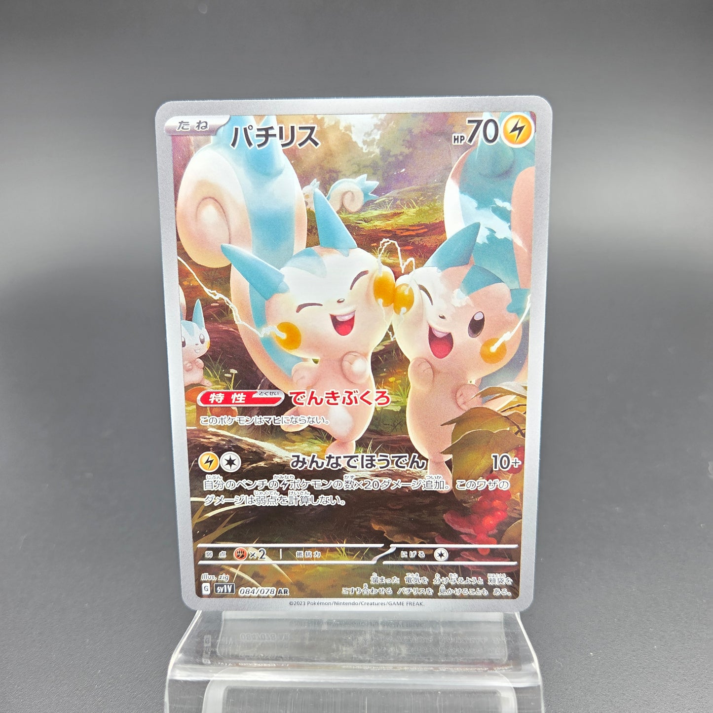 PACHIRISU (SV1V 084)