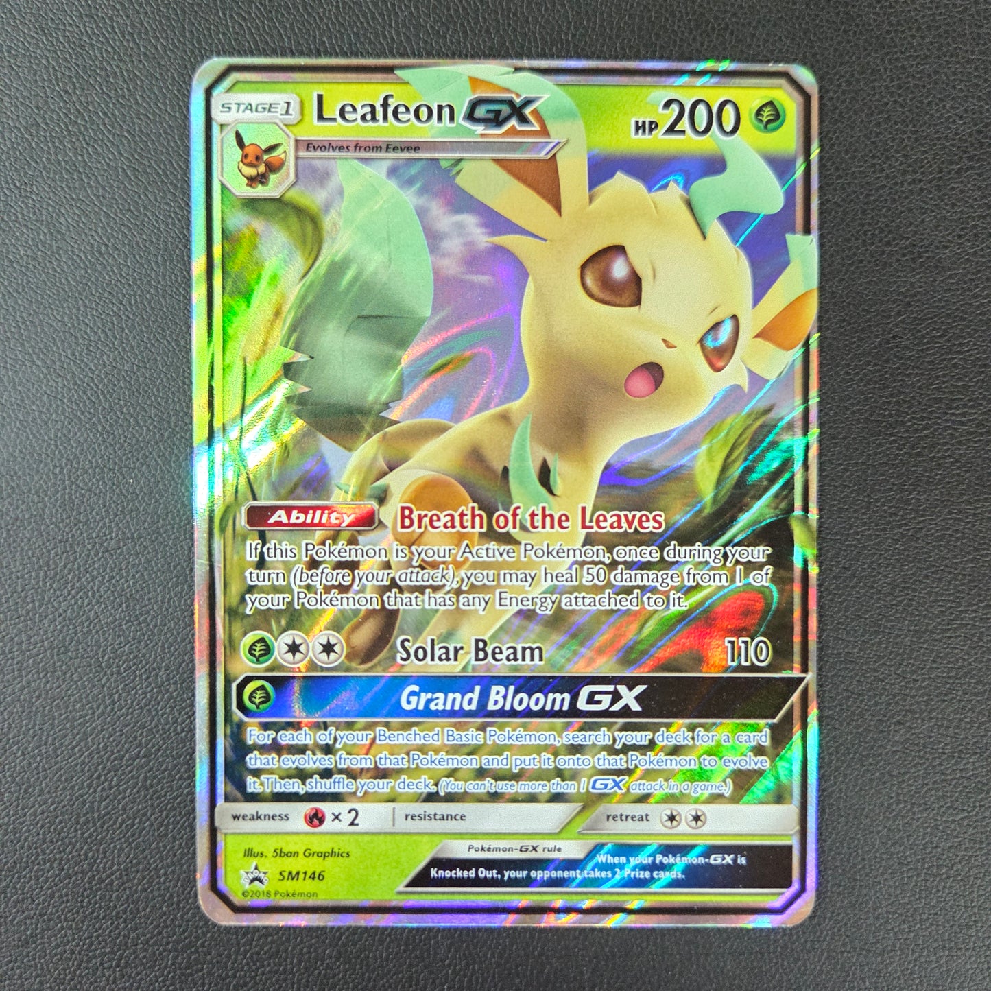 PHYLLALI GX (SM 146)