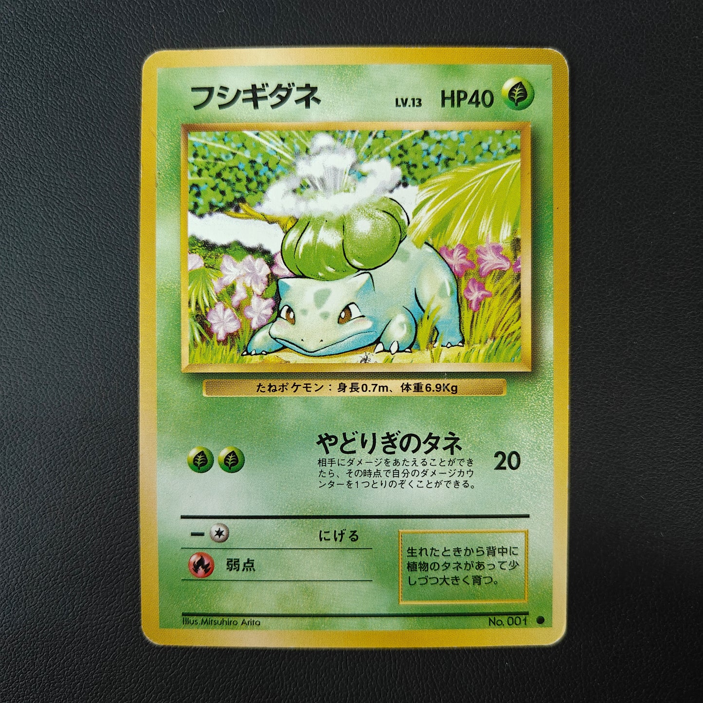 BULBIZARRE (EXP 001)