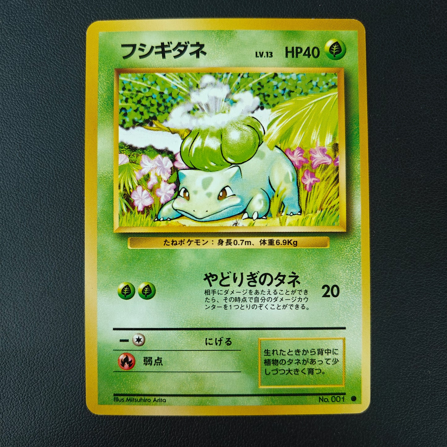 BULBIZARRE (EXP 001)
