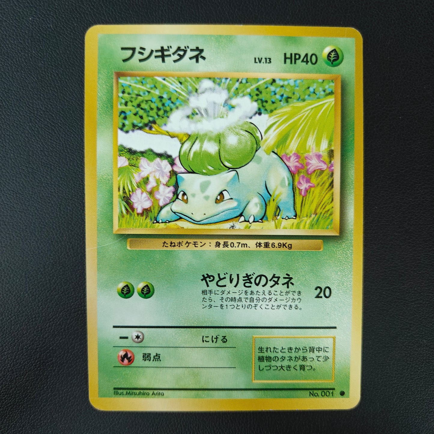 BULBIZARRE (EXP 001)