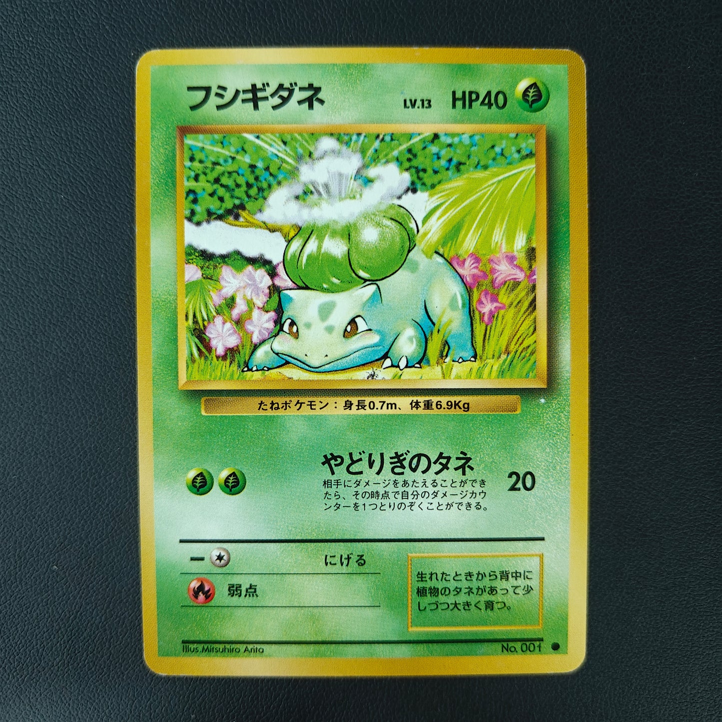 BULBIZARRE (EXP 001)