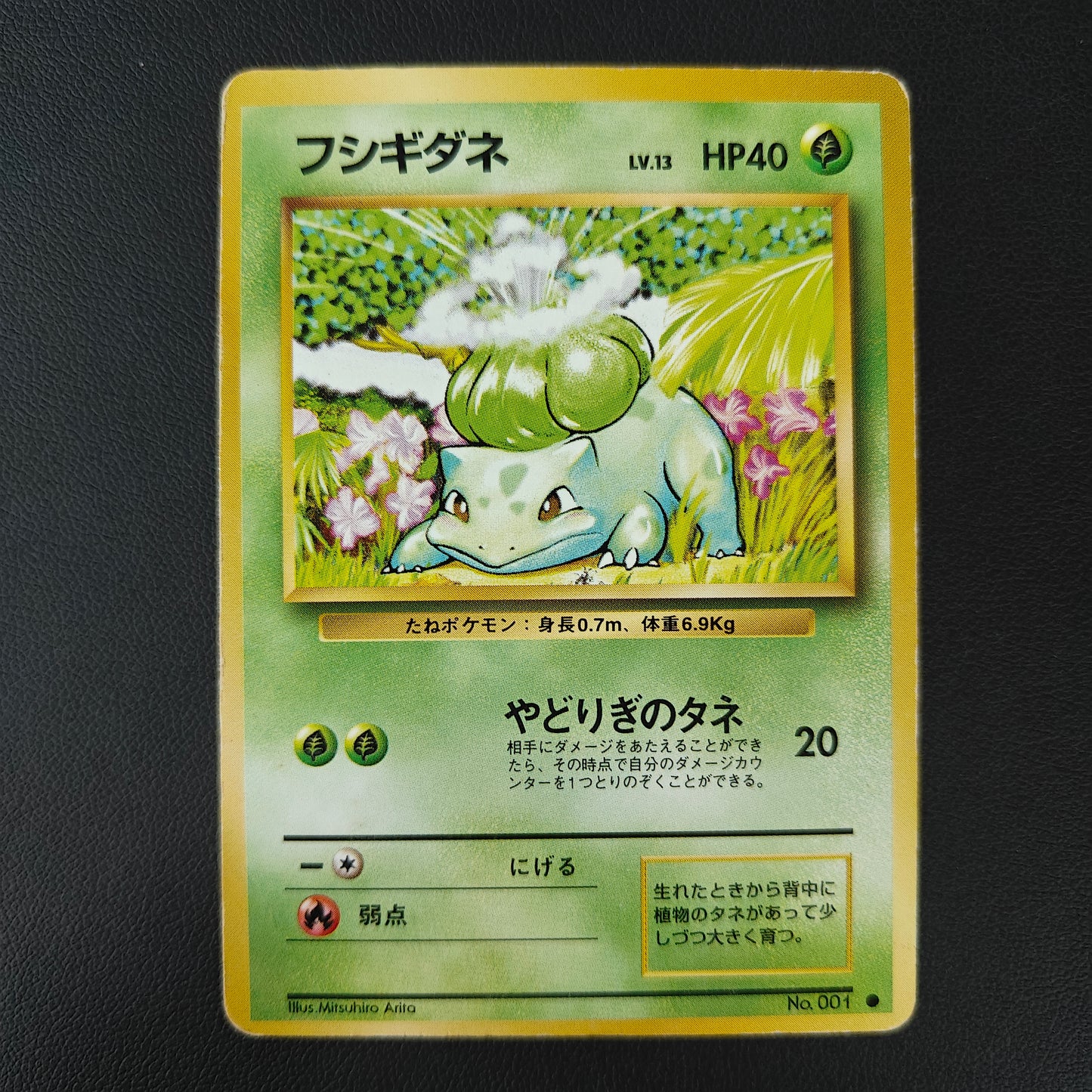 BULBIZARRE (EXP 001)