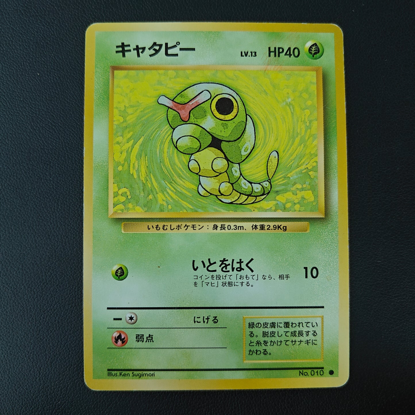 CHENIPAN (EXP 010)
