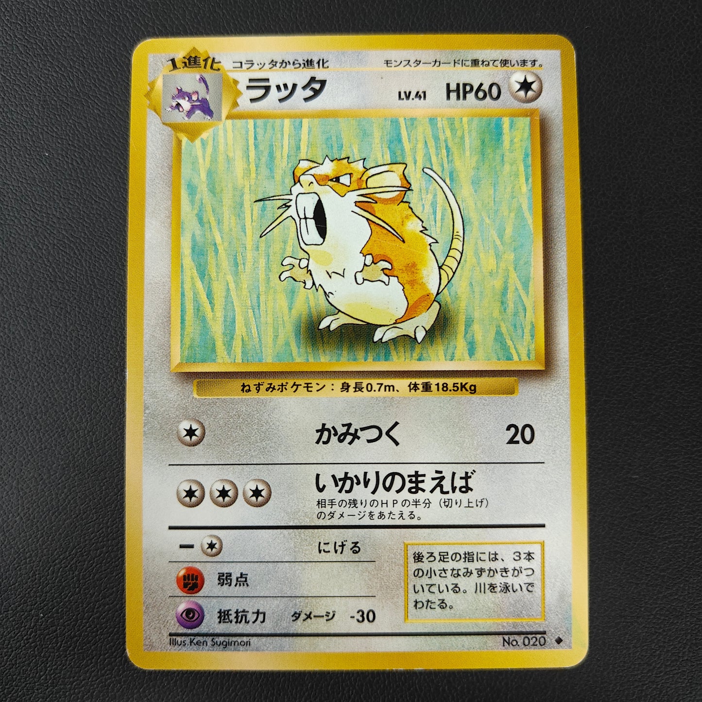 RATICATE (EXP 020)