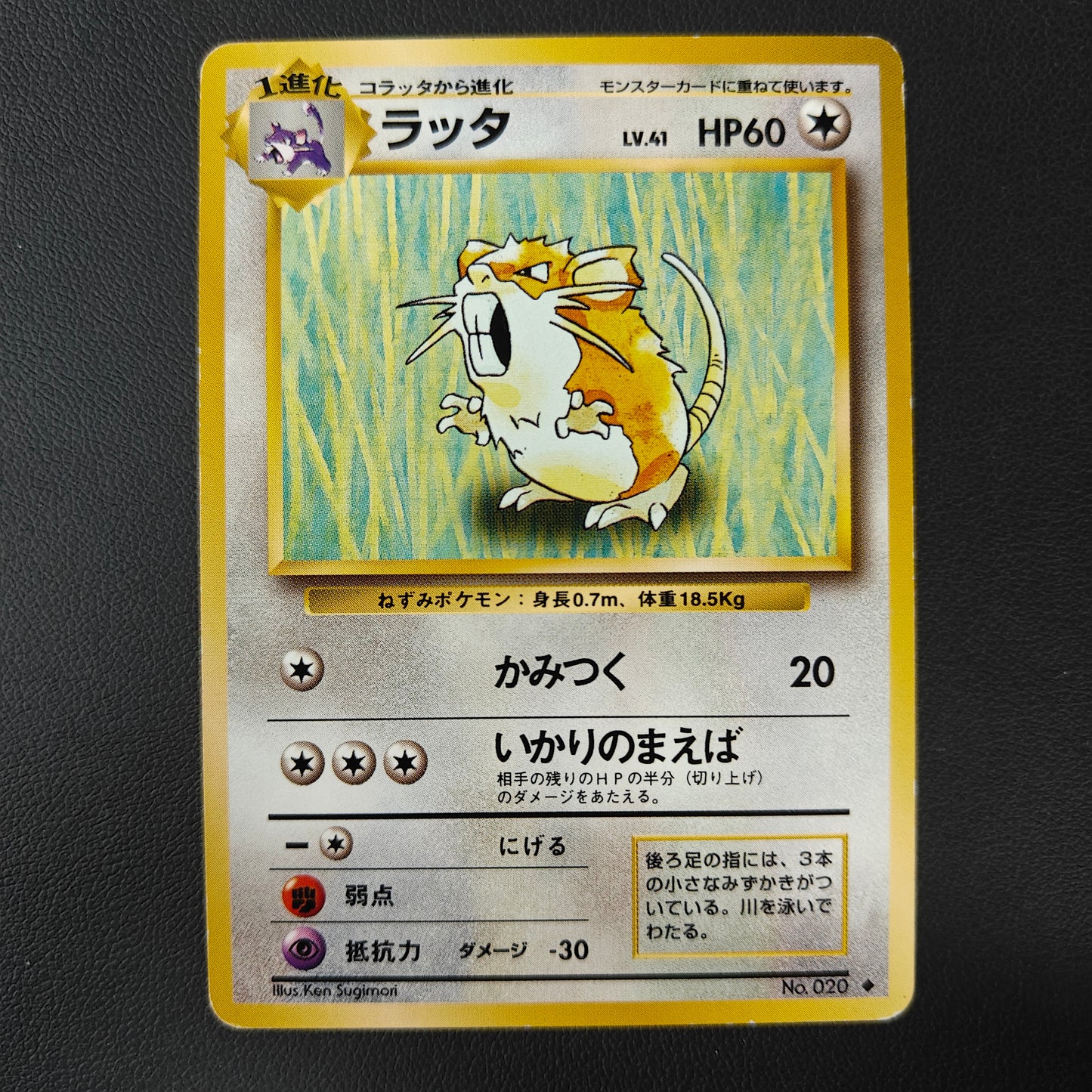 RATICATE (EXP 020)