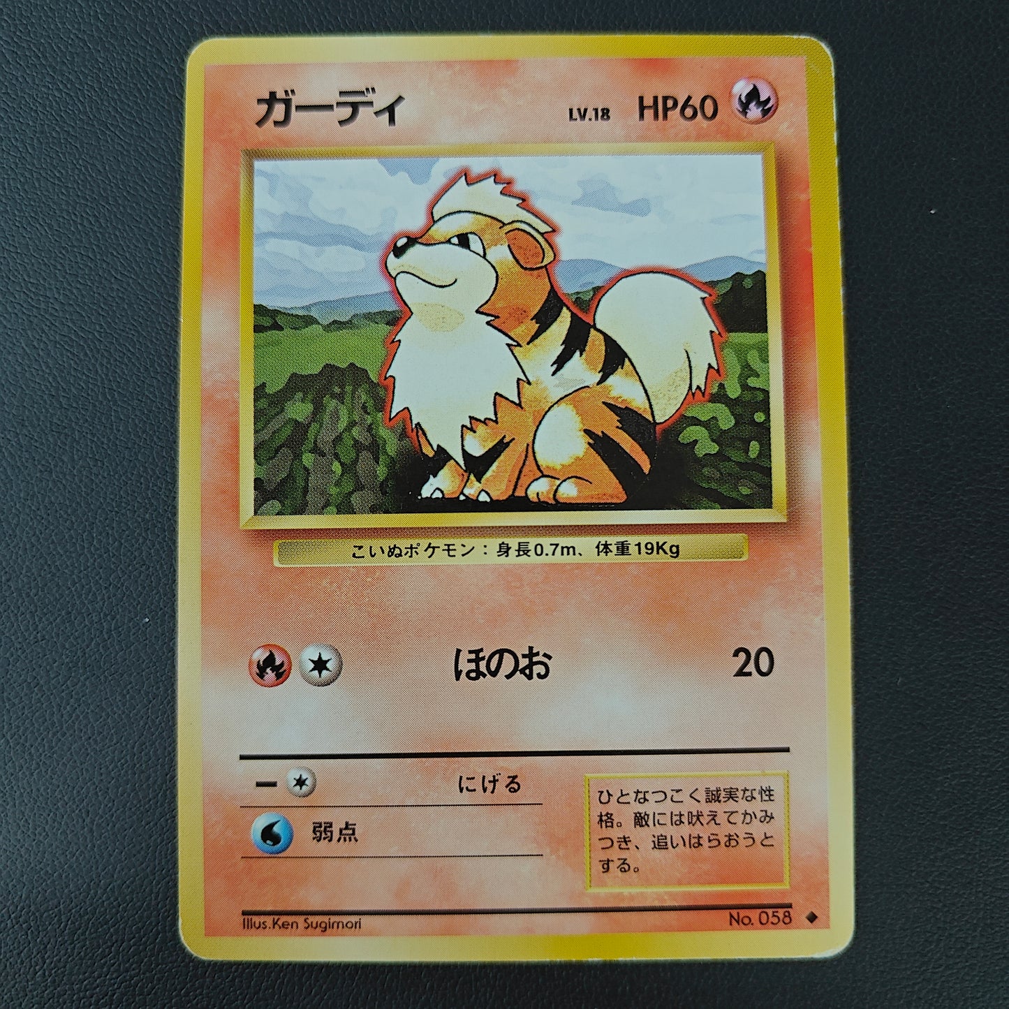 ARCANINE (EXP 058)