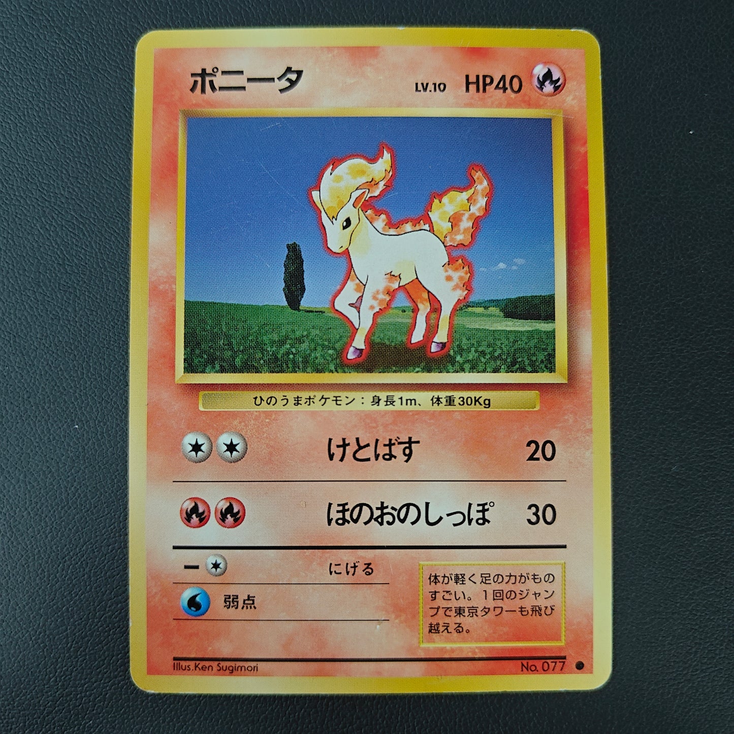 PONYTA (EXP 077)