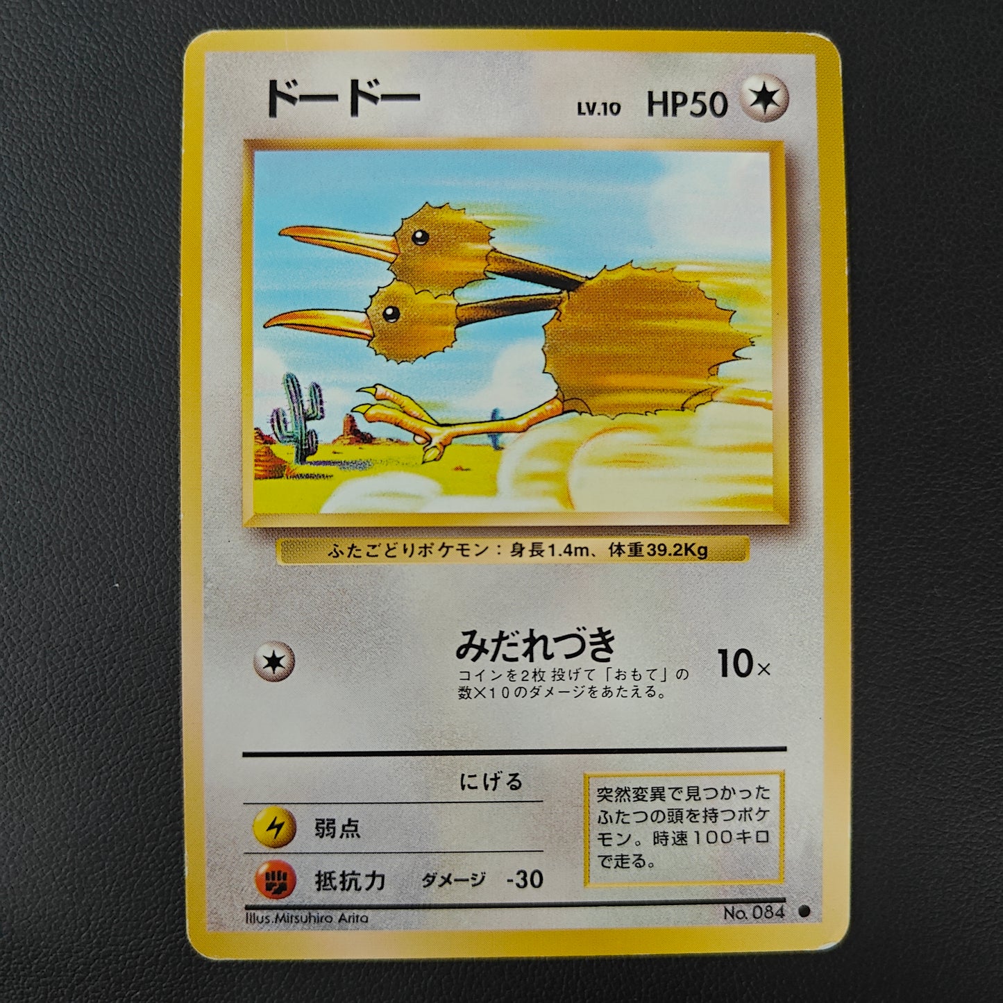 DODUO (EXP 084)