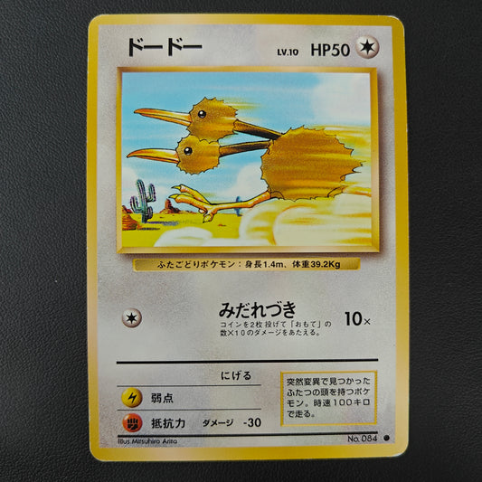 DODUO (EXP 084)