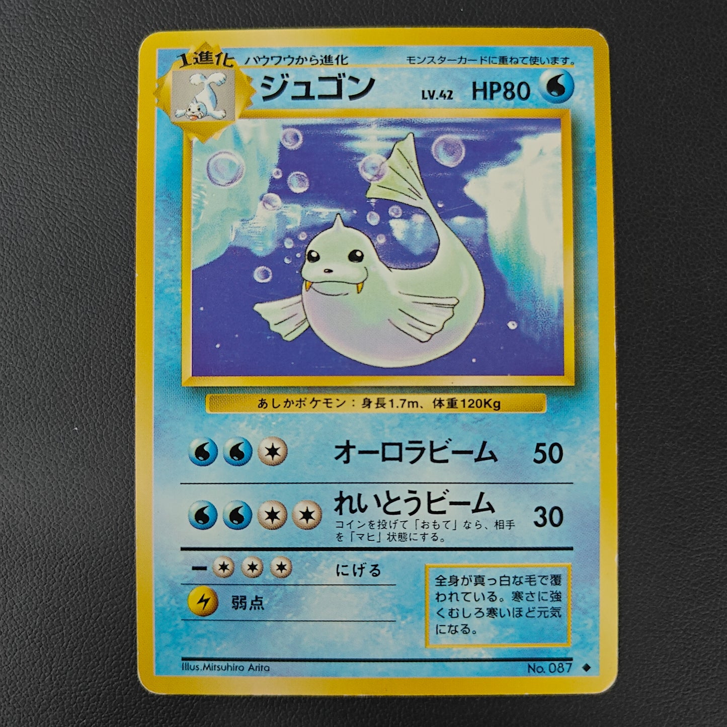 DEWGONG (EXP 087)