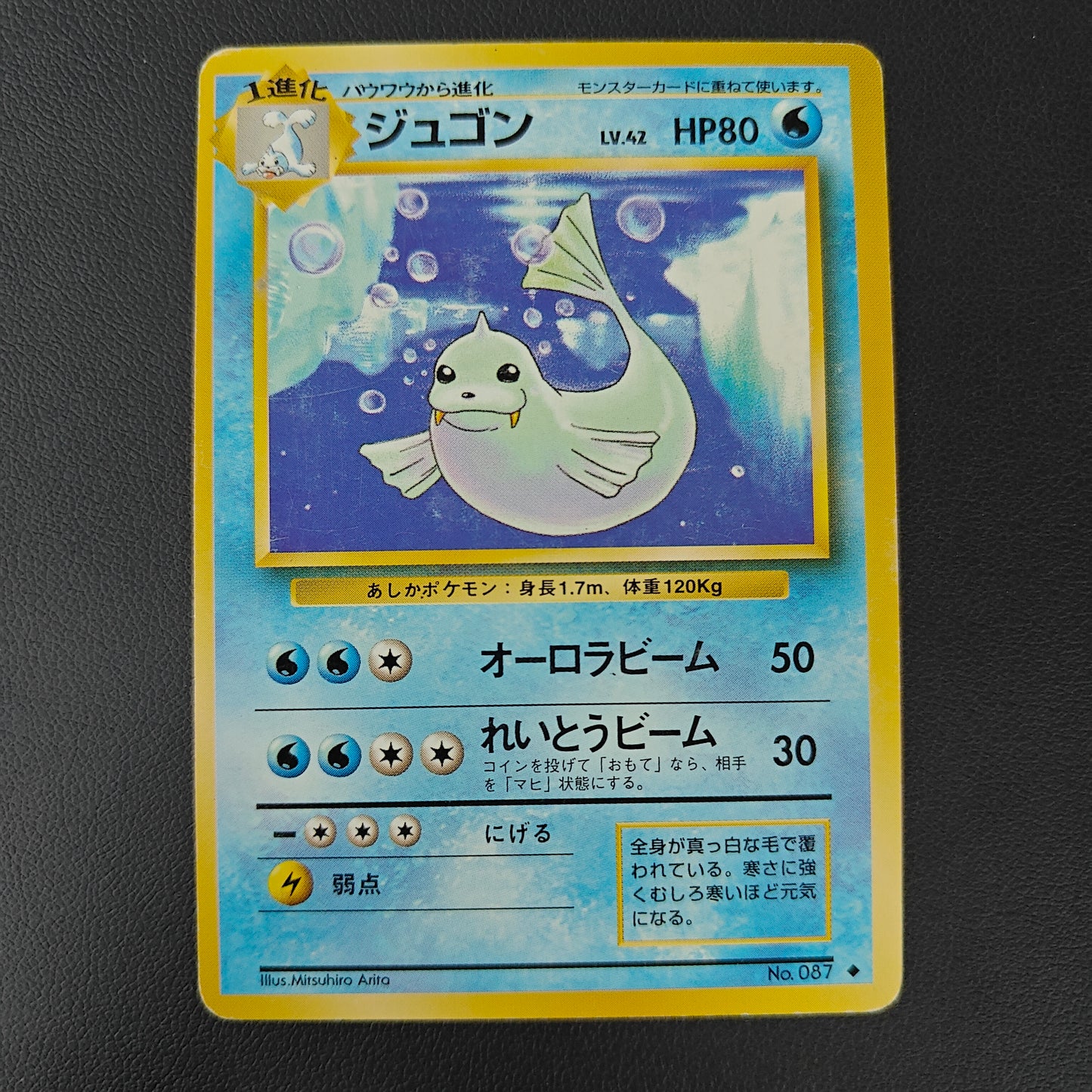 DEWGONG (EXP 087)