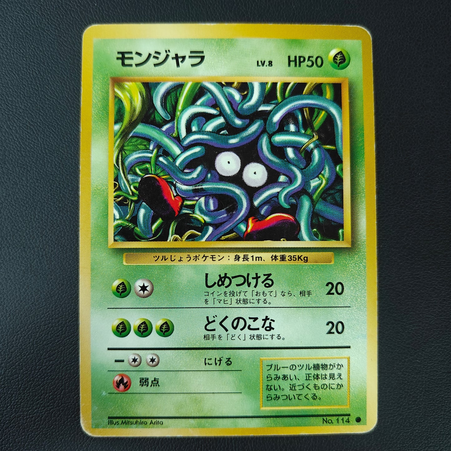 TANGELA (EXP 114)