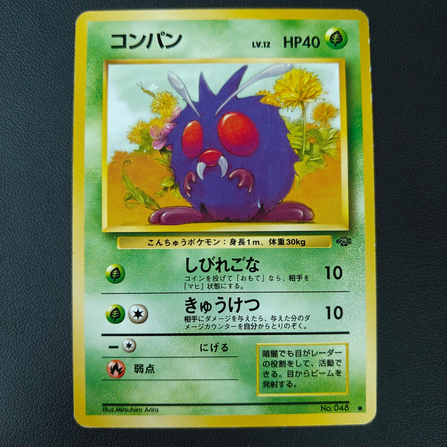 VENONAT (PJU 048)