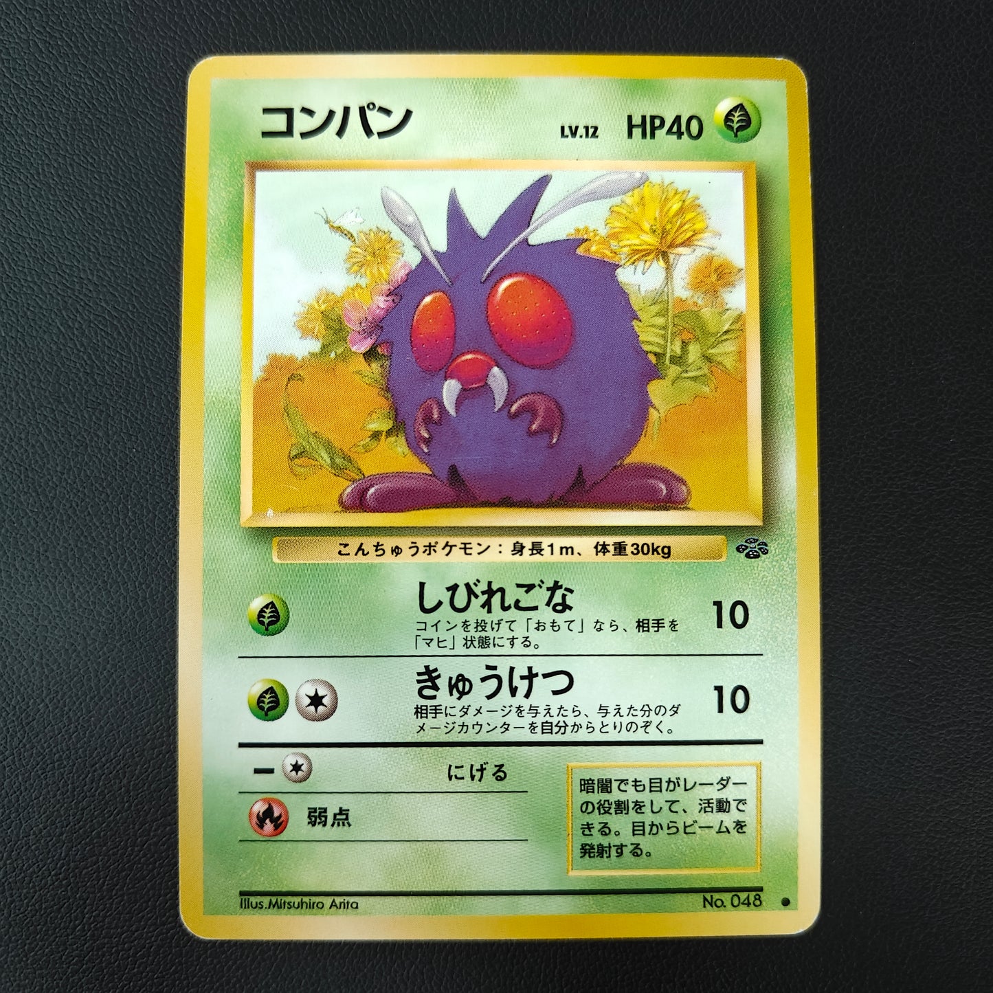 VENONAT (PJU 048)