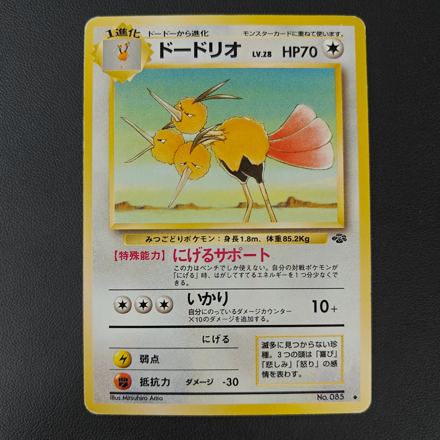 DODRIO (PJU 085)