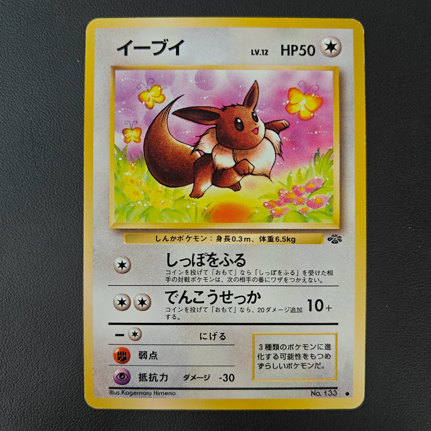 EEVEE (PJU 133)