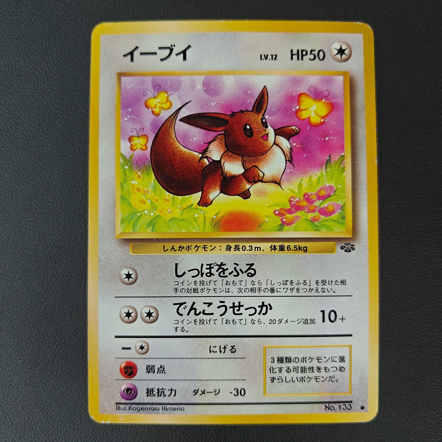 EEVEE (PJU 133)