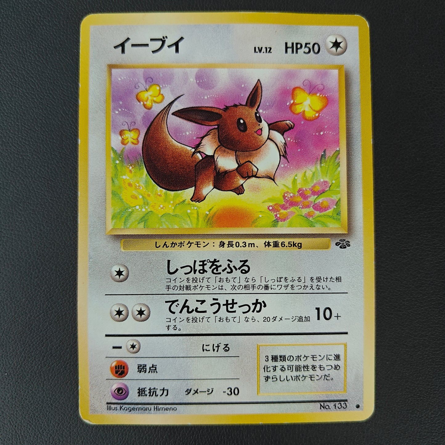 EEVEE (PJU 133)