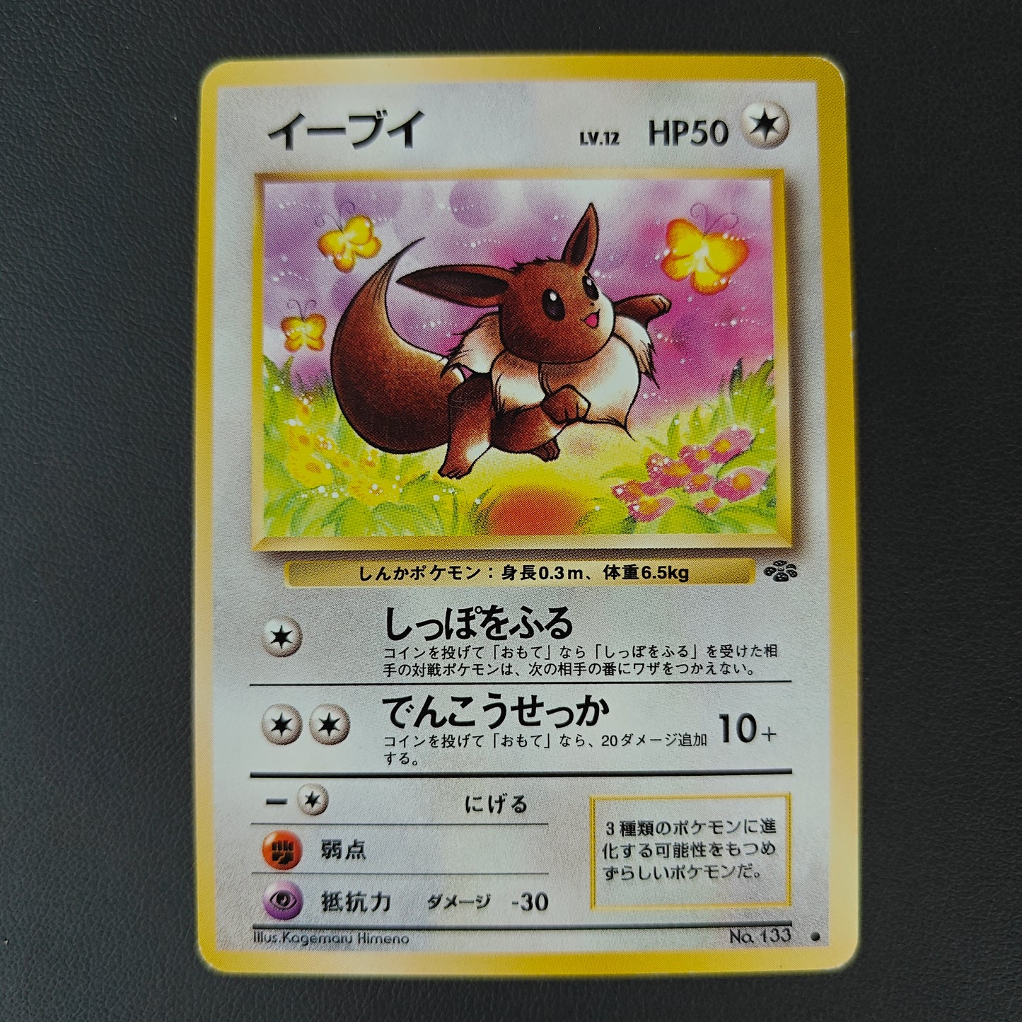 EEVEE (PJU 133)