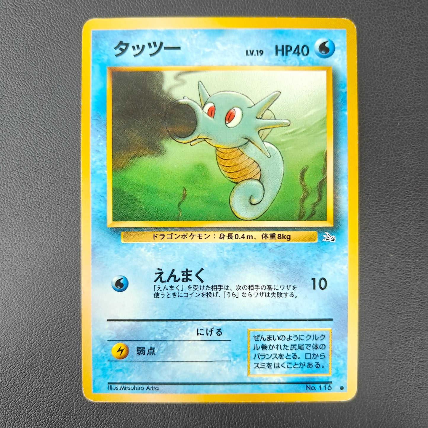 HORSEA (MFO 116)