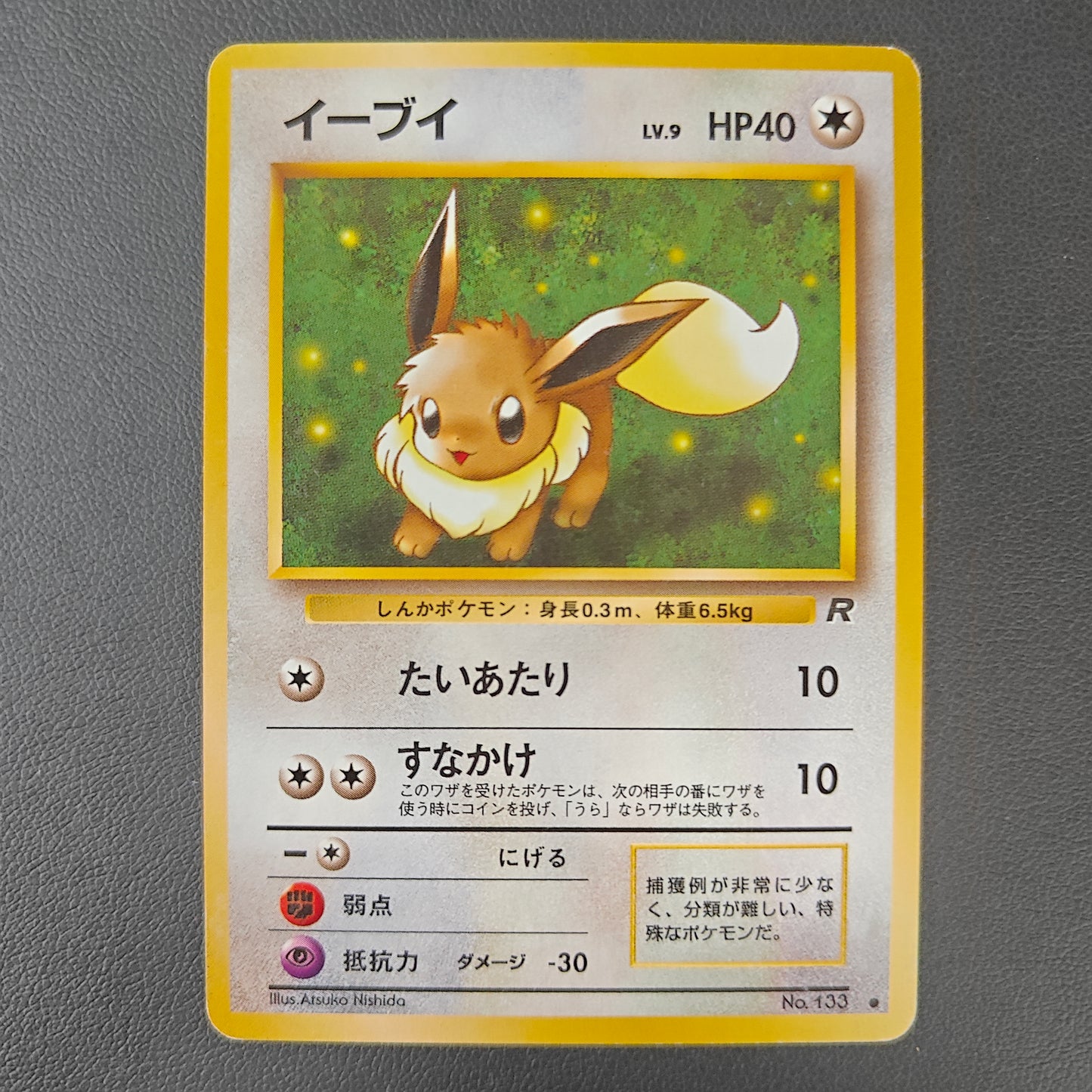 EEVEE (ROG 133)