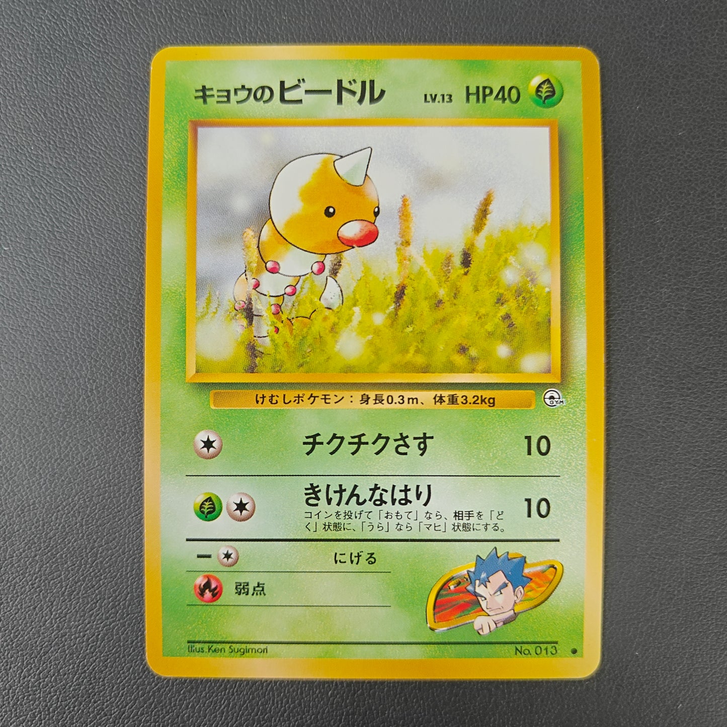 KOGA'S WEEDLE (G2 013)