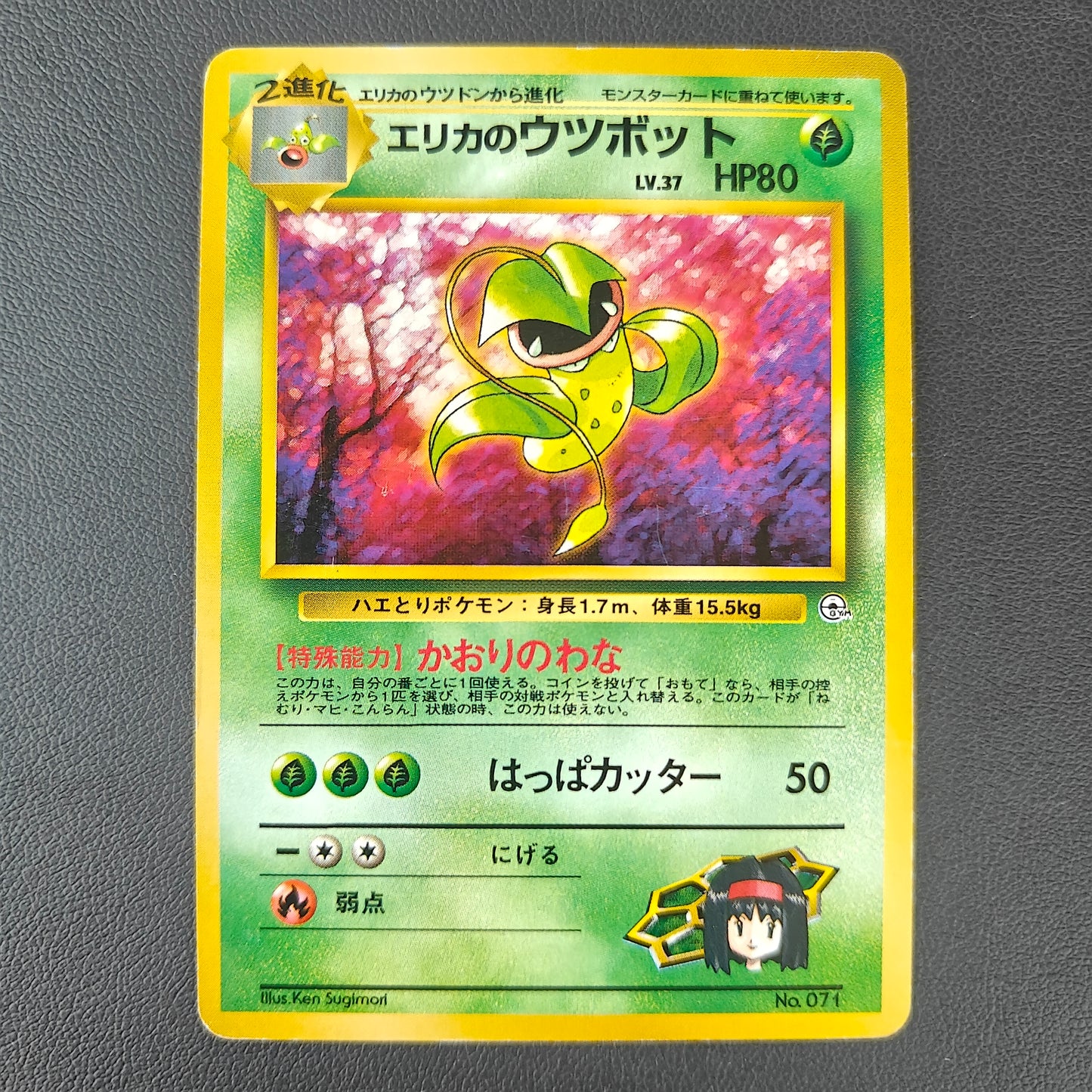 ERIKA'S VICTREEBEL (G1 071)