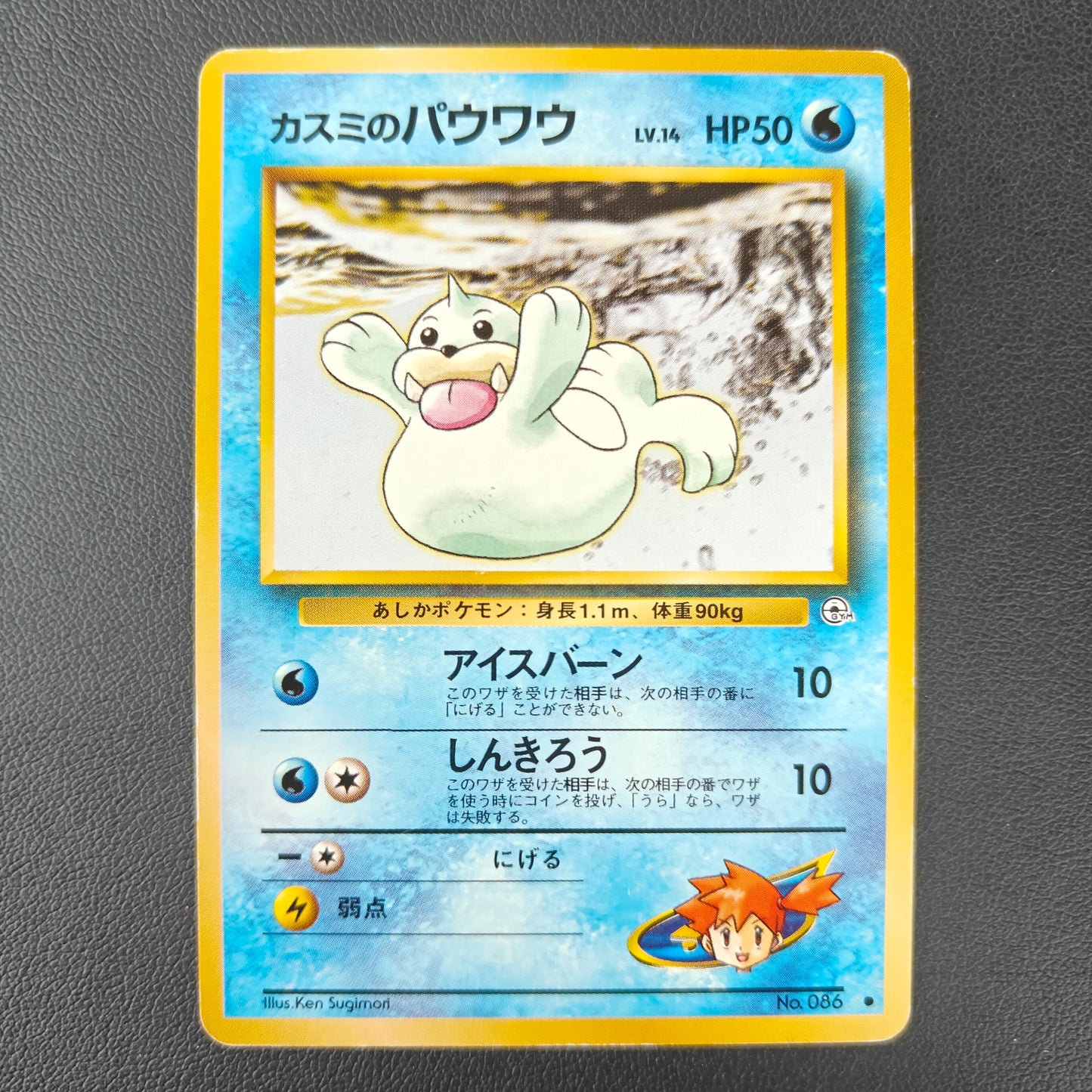 MISTY'S SEEL (G1 086)