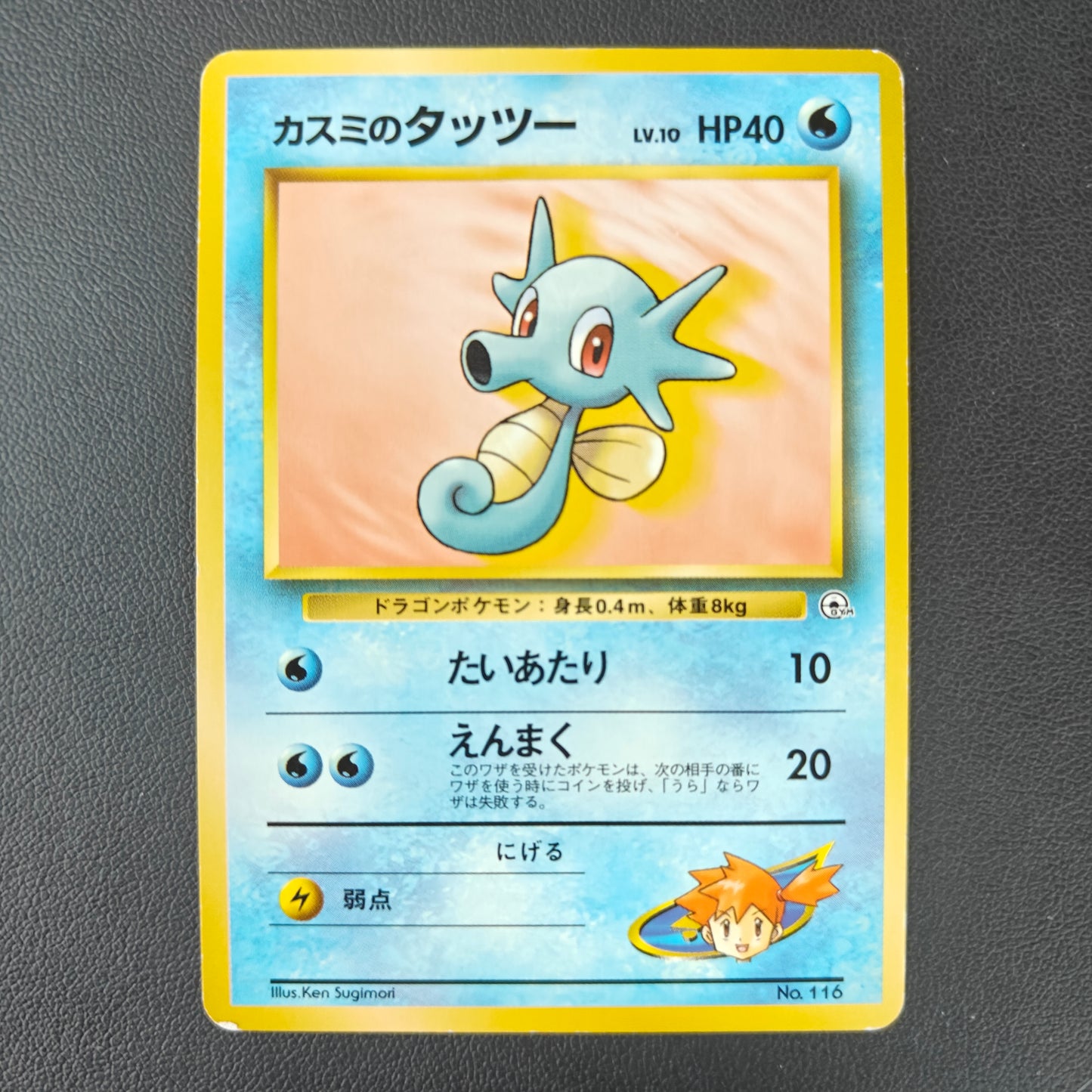 MISTY'S HORSEA (G1 116)