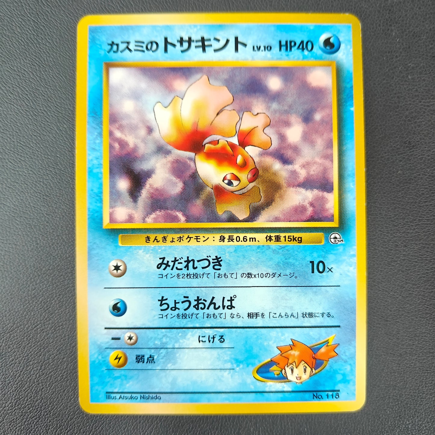MISTY'S GOLDEEN (G1 118)