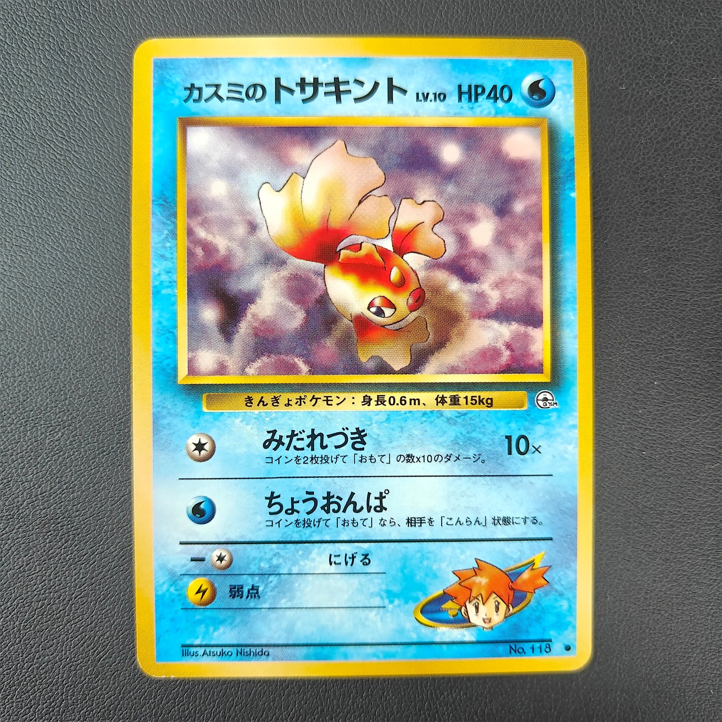 MISTY'S GOLDEEN (G1 118)