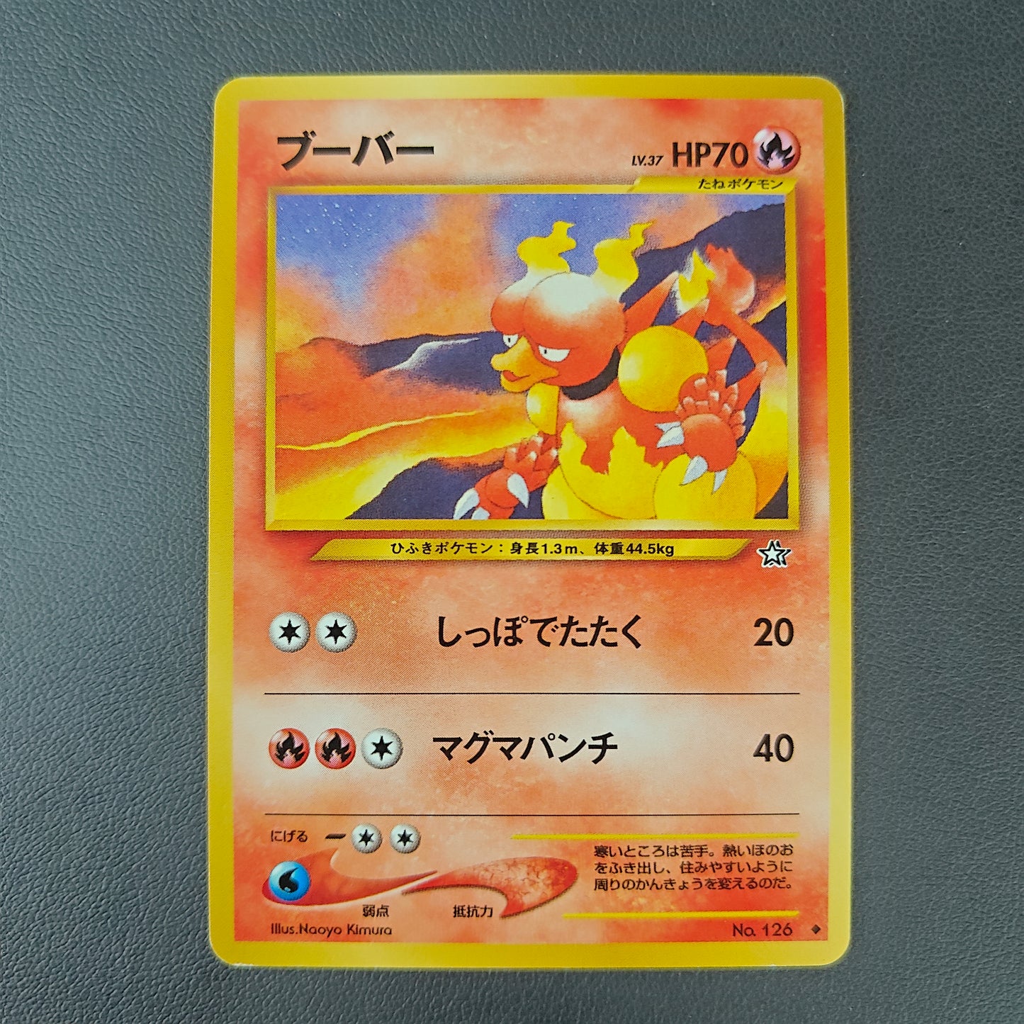MAGMAR (N1 126)