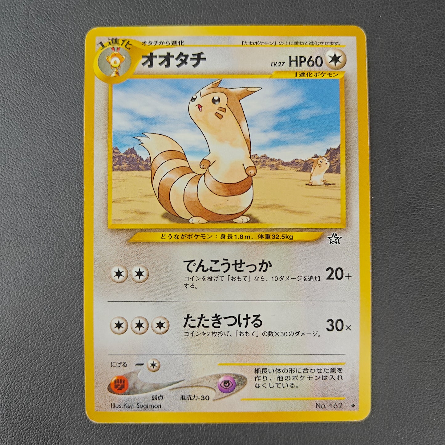FURRET (N1 162)