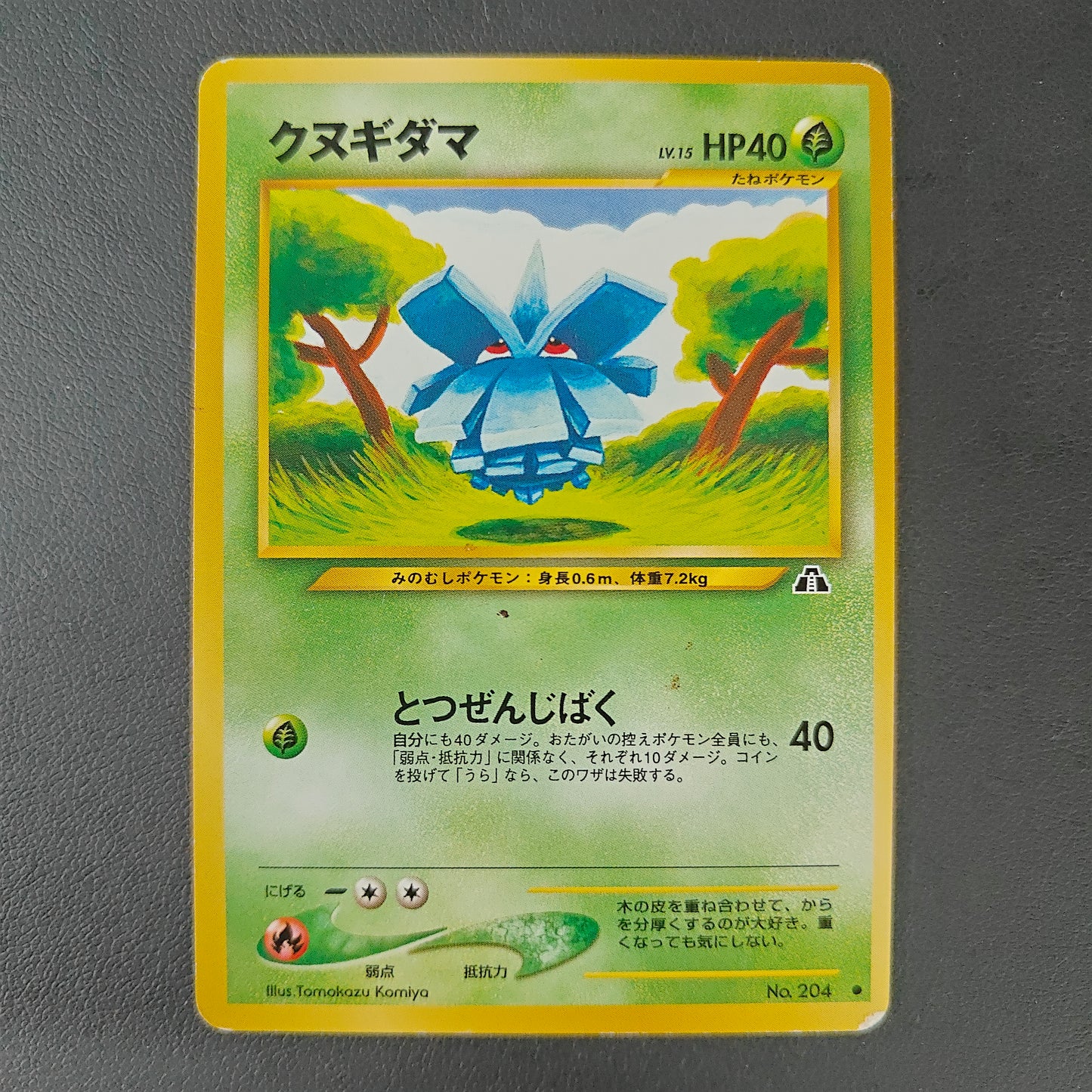 PINECO (N2 204)