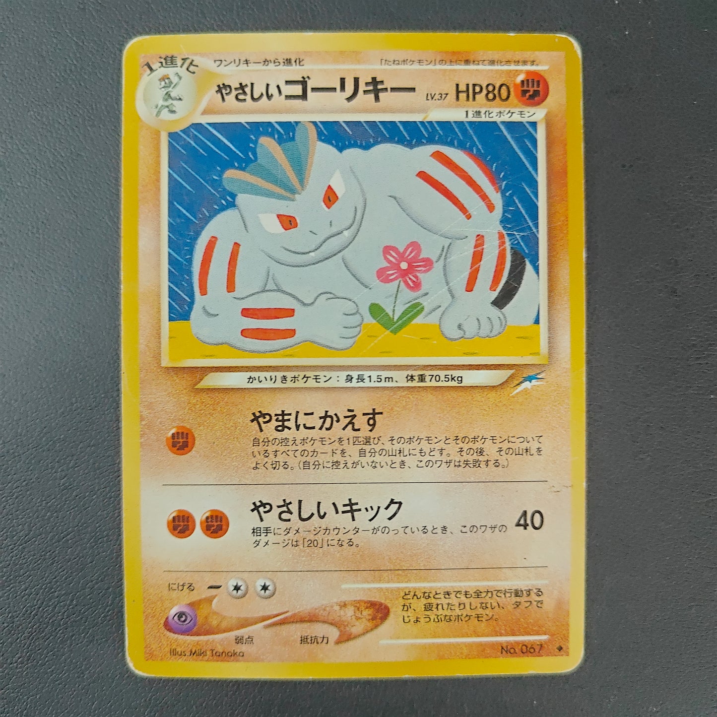 LIGHT MACHOKE (N4 067)
