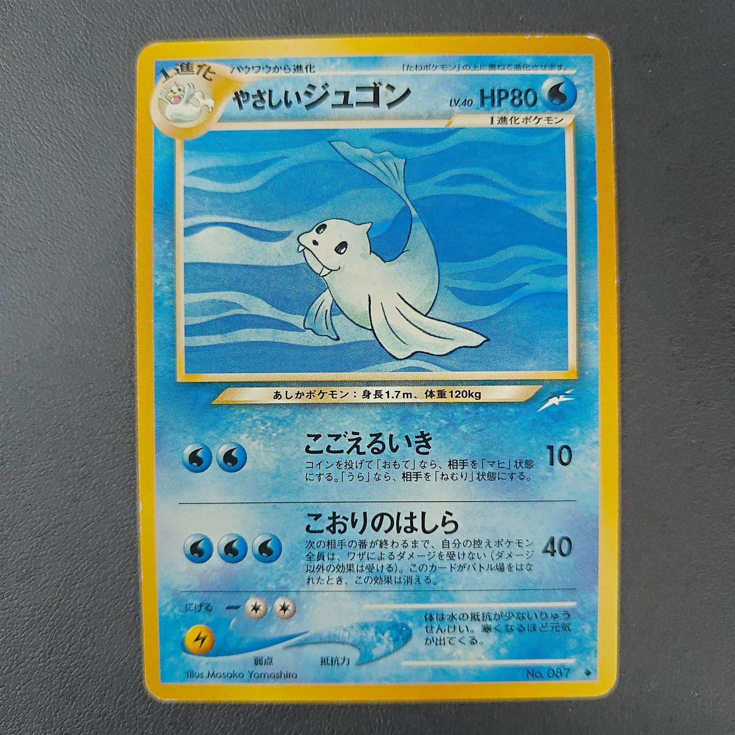 LIGHT DEWGONG (N4 087)