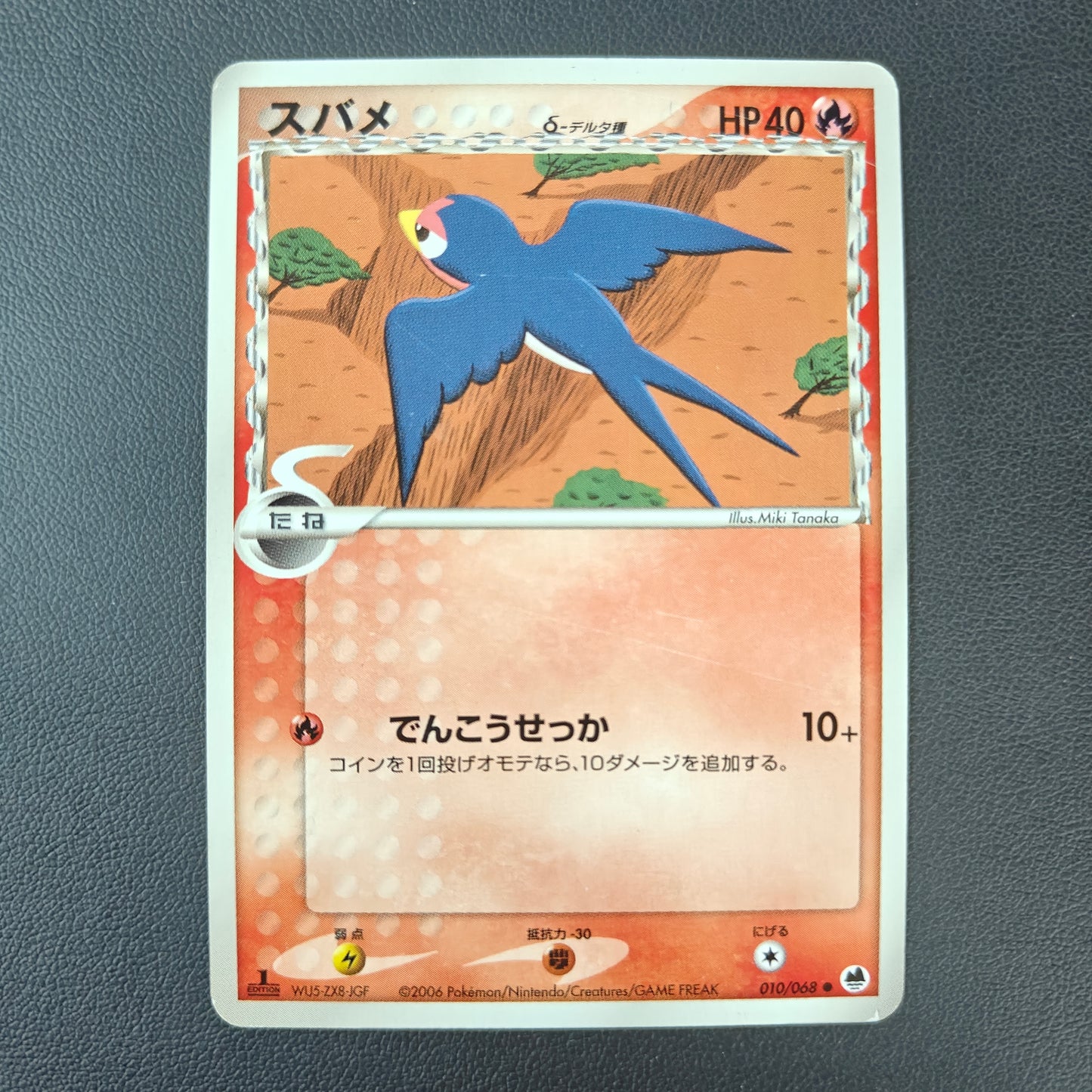 TAILLOW DELTA SPECIES (PCG9 010)