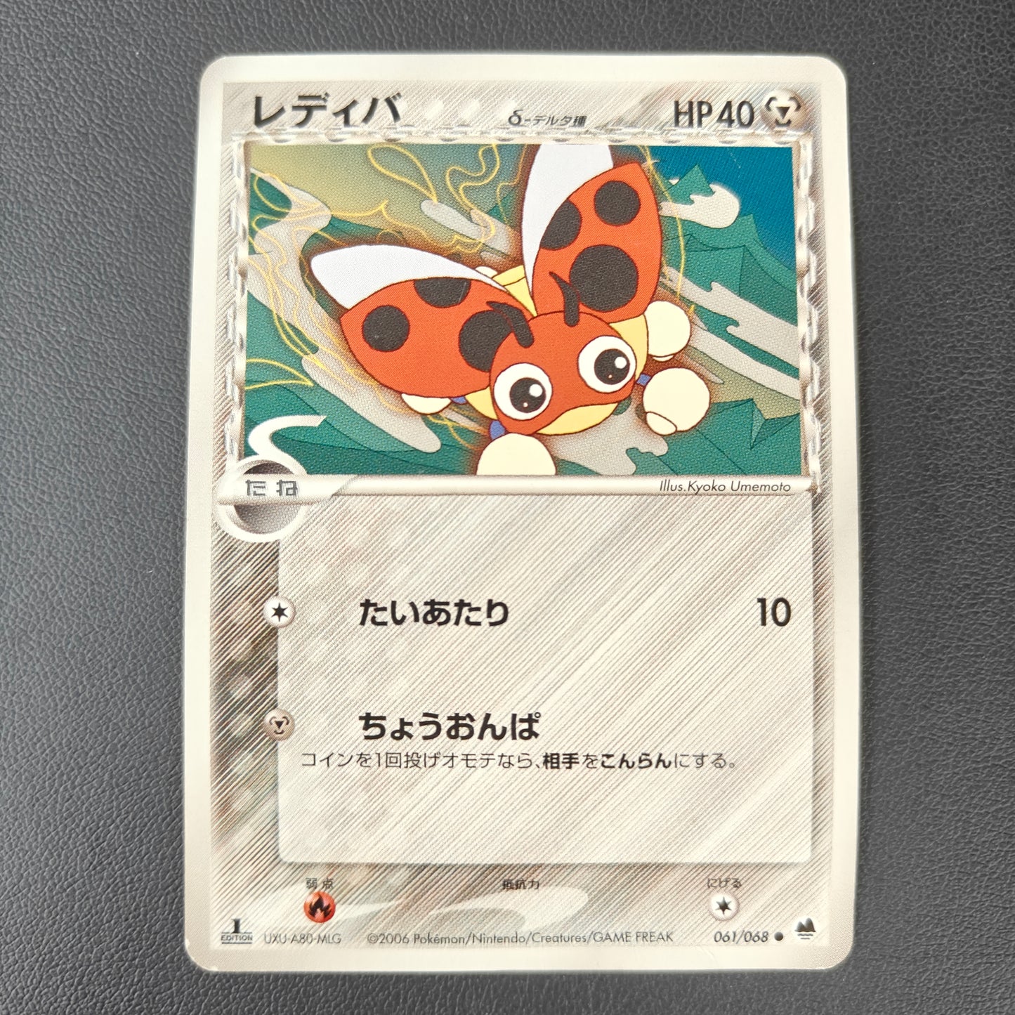 LEDYBA DELTA SPECIES (PCG9 061)
