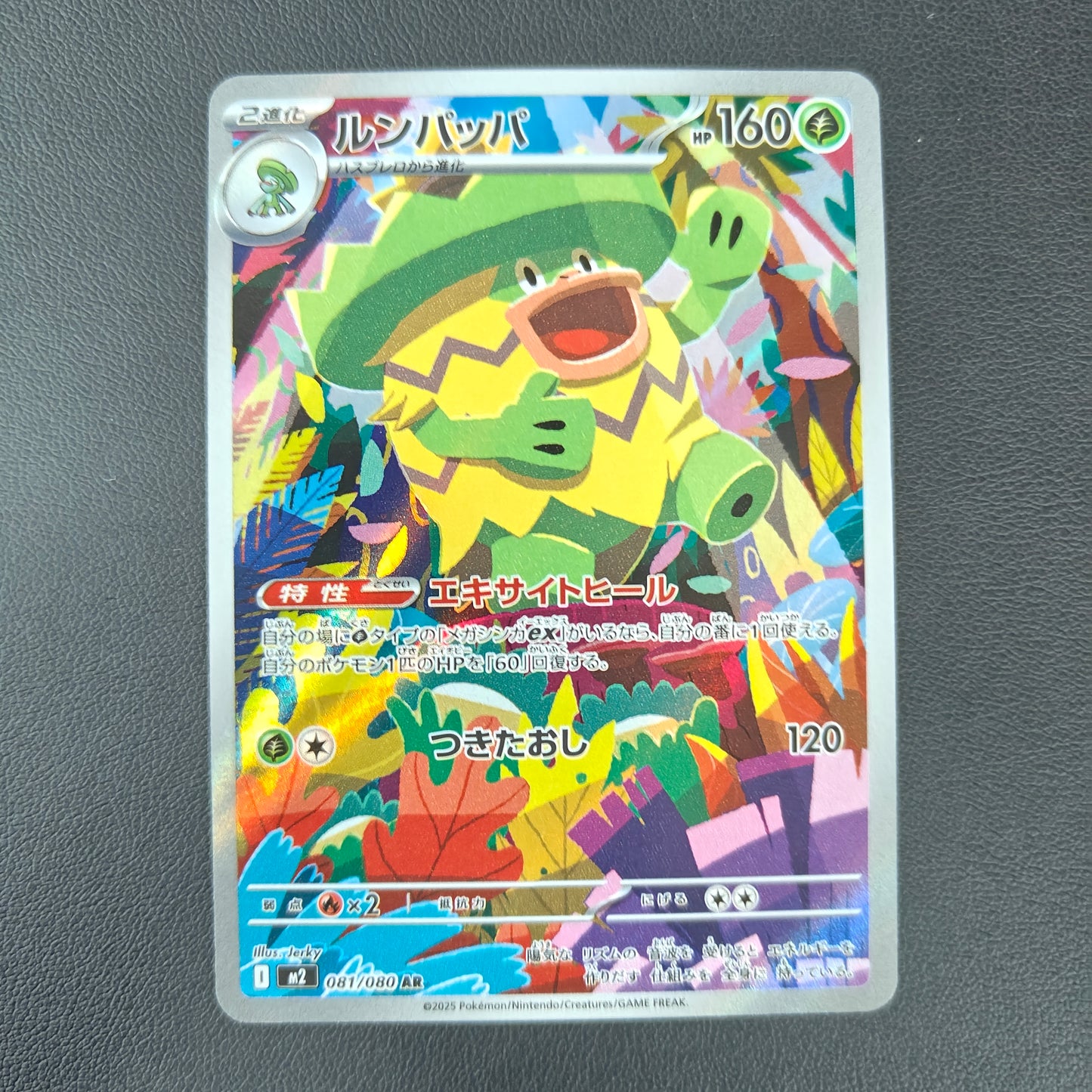 LUDICOLO (M2 081)