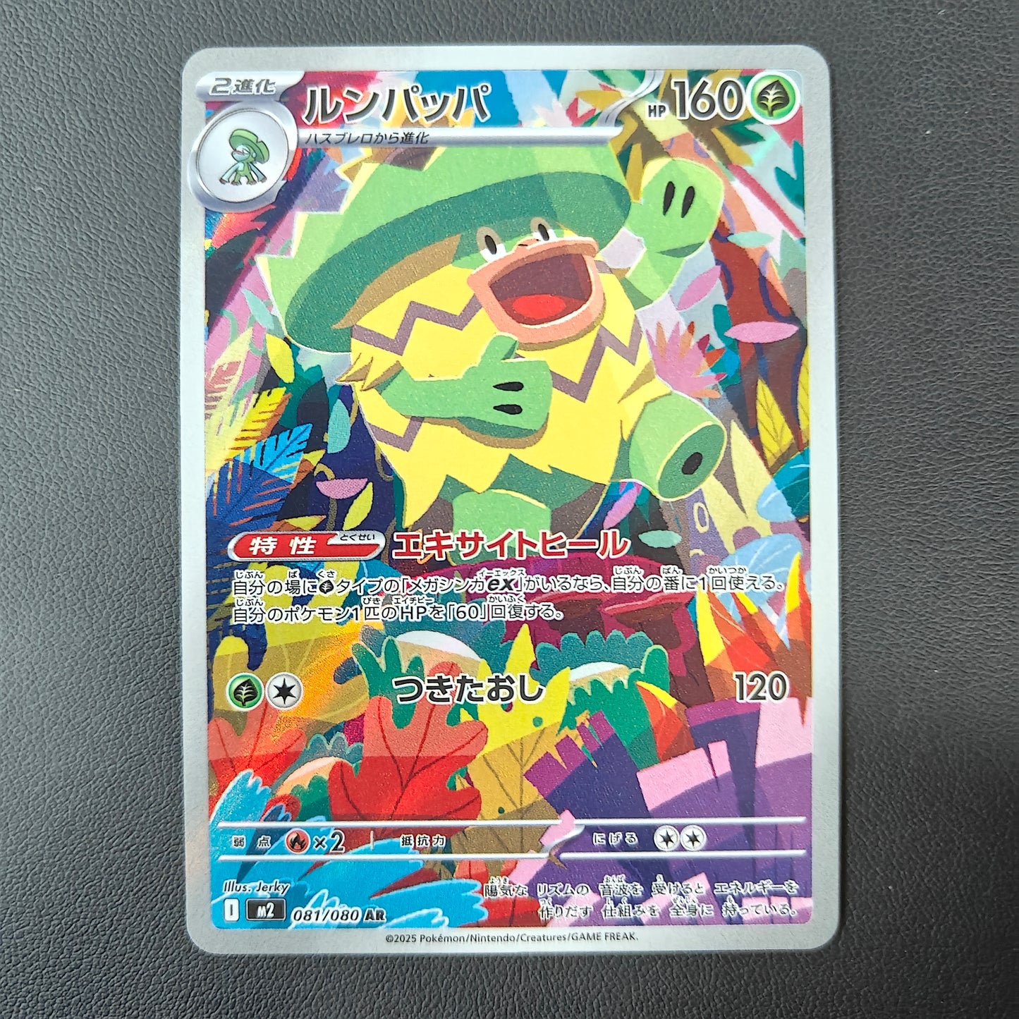 LUDICOLO (M2 081)