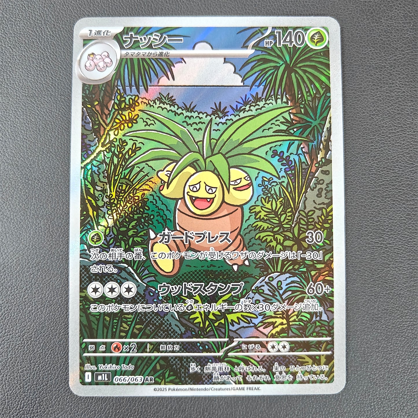 NOADKOKO (M1L 066)