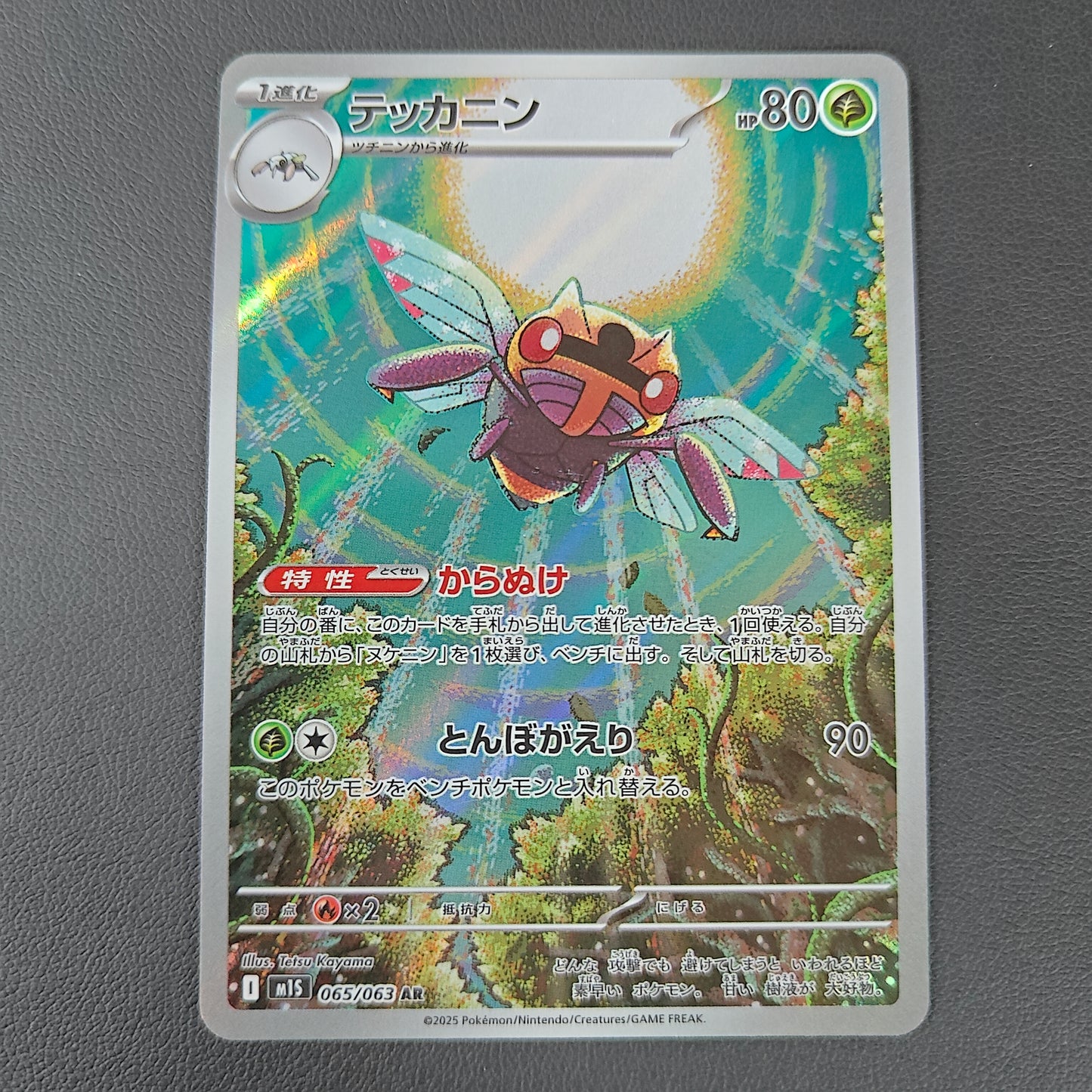 NINJASK (M1S 065)