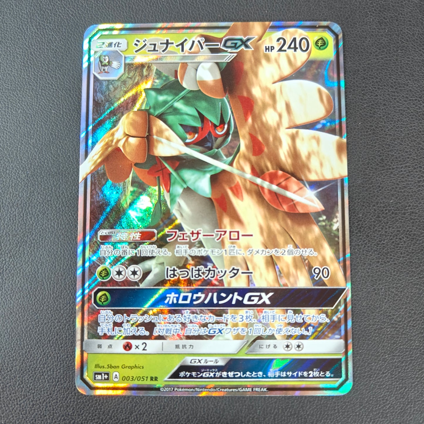 ARCHÉDUC GX (SM1+ 003)