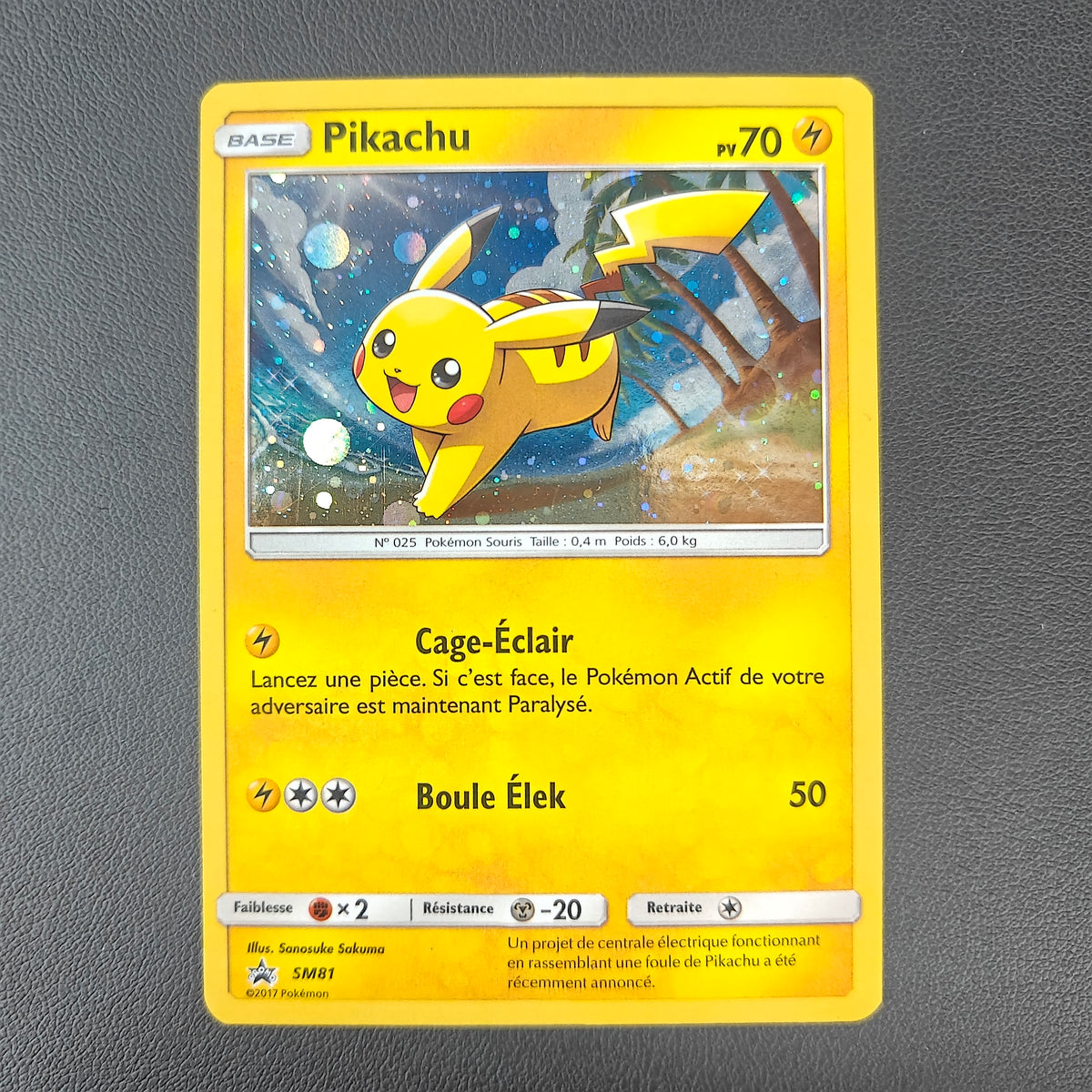 PIKACHU (SM 81)