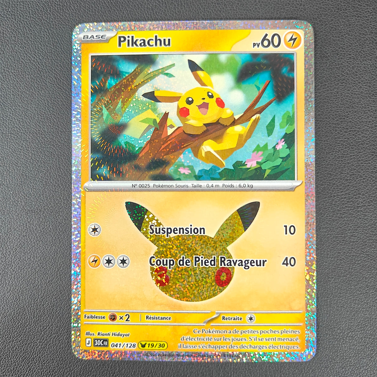 PIKACHU (30C 041)